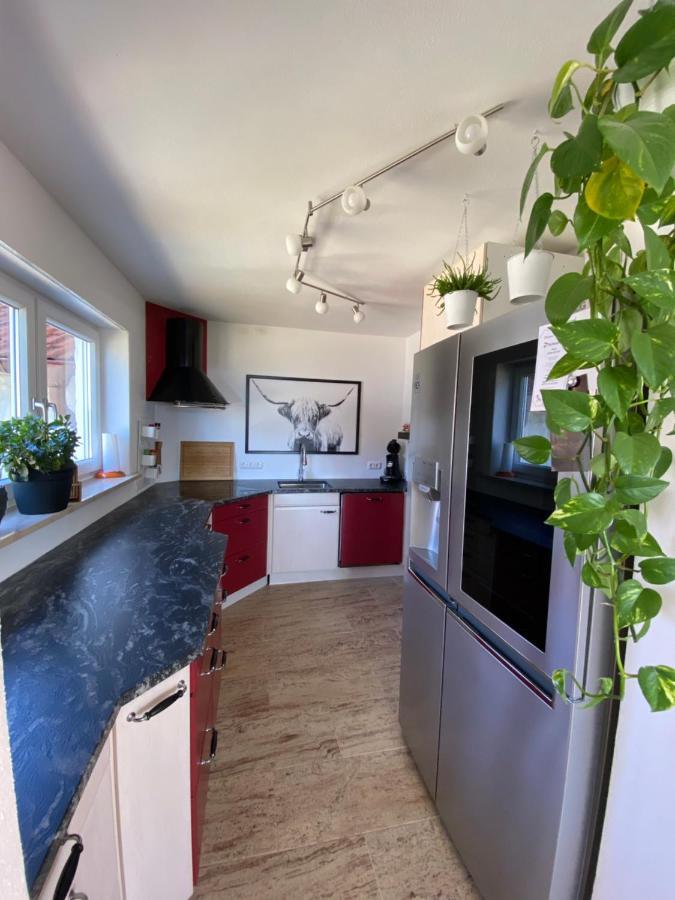 Vila Ferienhaus Alpenblick Auf'M Vorderberg Leutkirch im Allgäu Exteriér fotografie